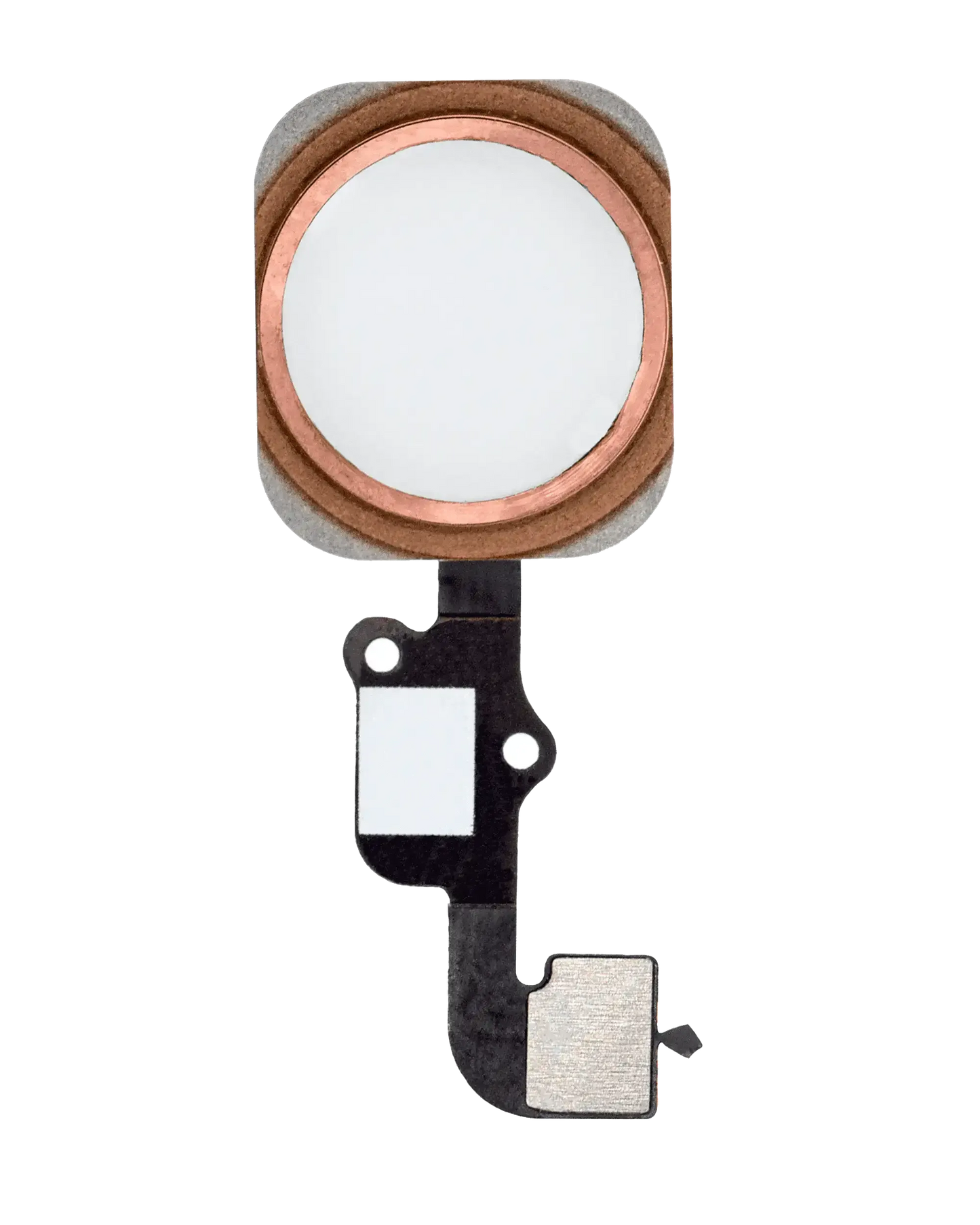 Home Button With Flex For iPhone 6S / 6S Plus (Rose Gold) (Pull)