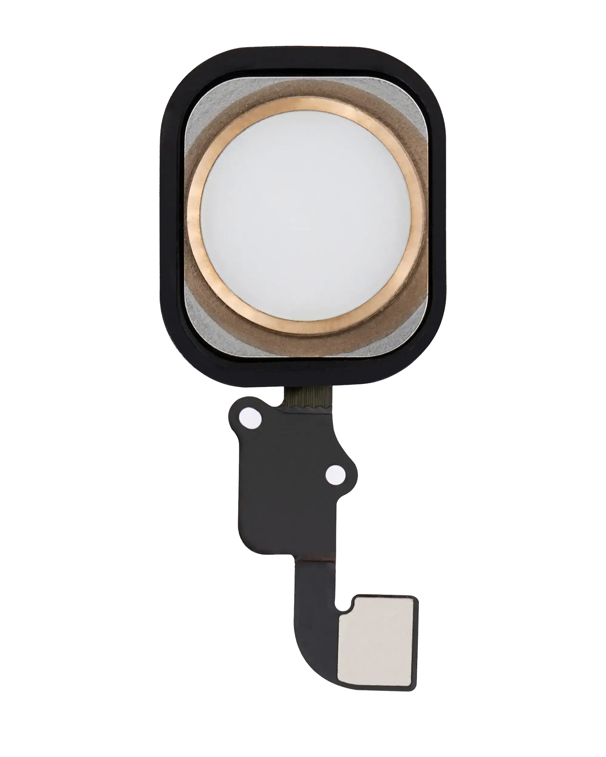 Home Button With Flex For iPhone 6 / 6 Plus (Gold) (Pull)